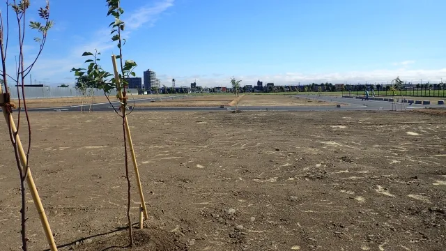 平野区加美エリアで建築線や道路種別を確認しながら土地を検討するイメージ
